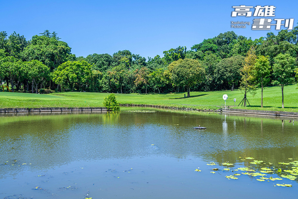 公園內的水池，除了豐富的生態價值，亦兼具防洪功能。(攝影/黃敬文)