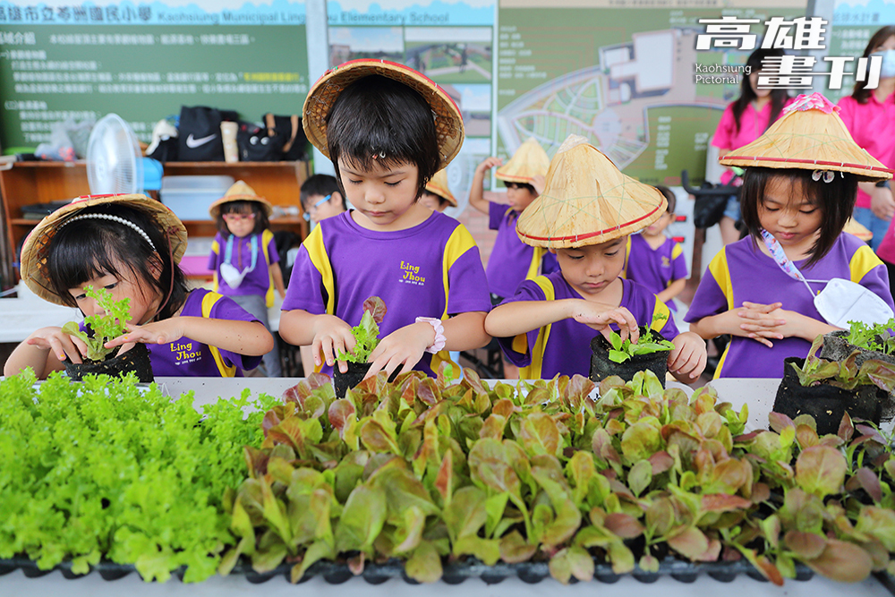 頂樓種植「可食植栽」，在老師帶領下，學童親手翻土、播種與採收。（攝影/Carter）