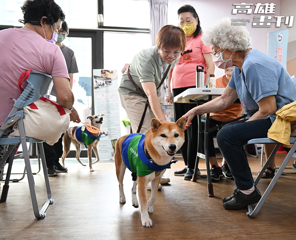 樂陪犬走入社區，成為療癒長輩身心的溫暖力量。(攝影/Carter)