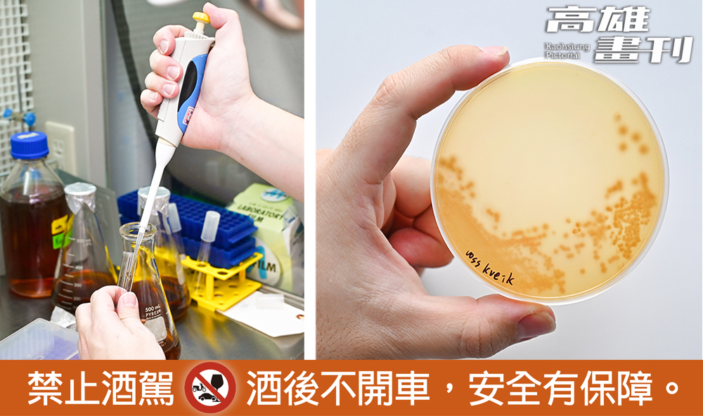 草澤精釀釀造技術成熟，酵母菌培養效能精準。(攝影/Carter)