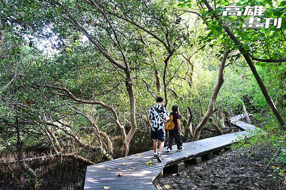 援中港濕地公園位於典寶溪南側，為內政部公告地方級重要濕地。（攝影/Carter）