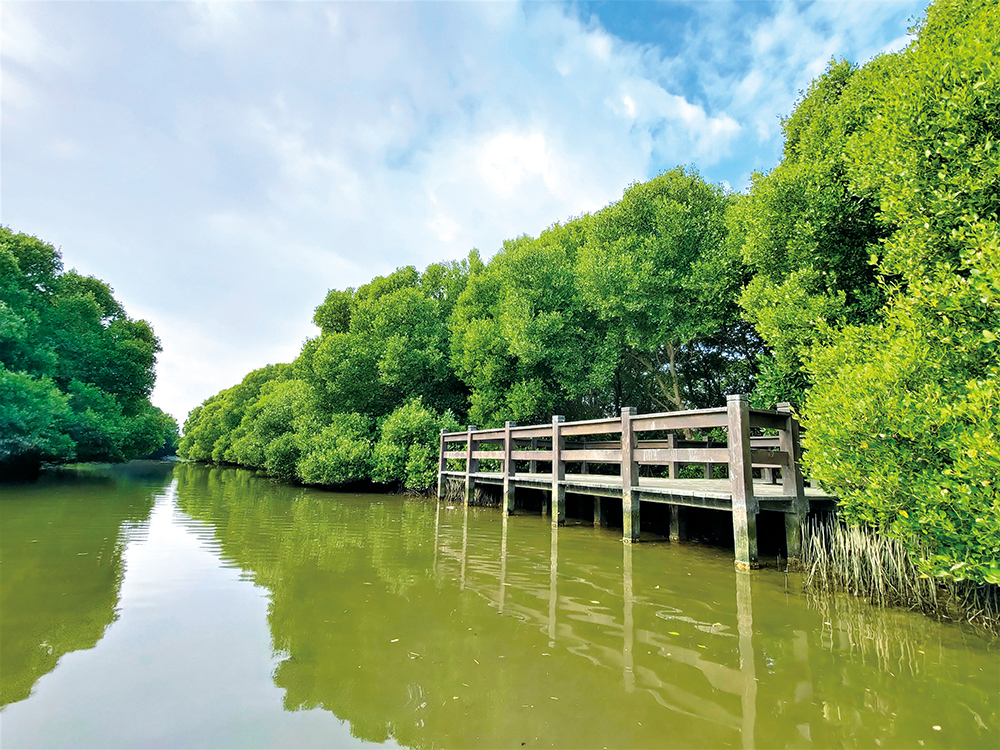 Photo courtesy of Wetlands Taiwan