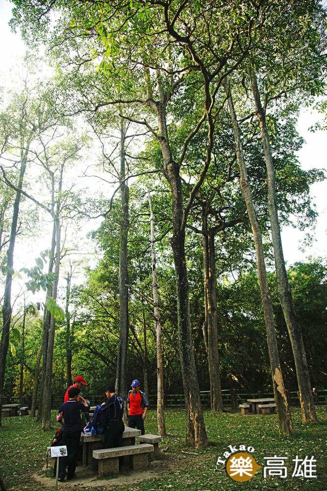 環保公園環境清幽，令人心曠神怡。（攝影/曾信耀）