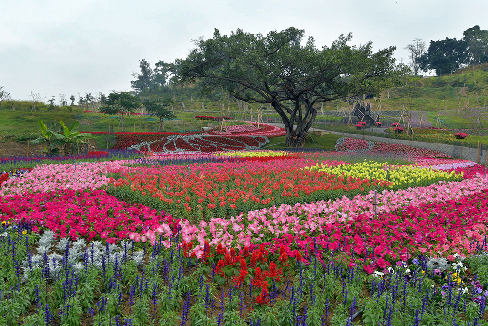 雙湖公園將串接起澄清湖與金獅湖之間重要的生物棲地鍊接地帶。（圖片提供／高雄市政府工務局）
