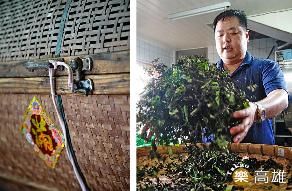 從採收到浪菁、揉捻等步驟，全由詹帛勳自行把關。（攝影/曾信耀）