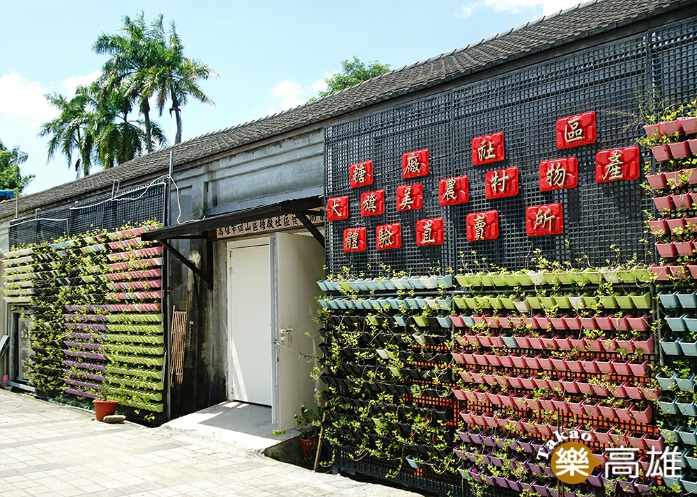 大旗美農村體驗物產直賣所外設置大面積植栽牆，不只觀賞及降溫，可食用的植物也是食農教育的一環。（攝影/曾信耀）