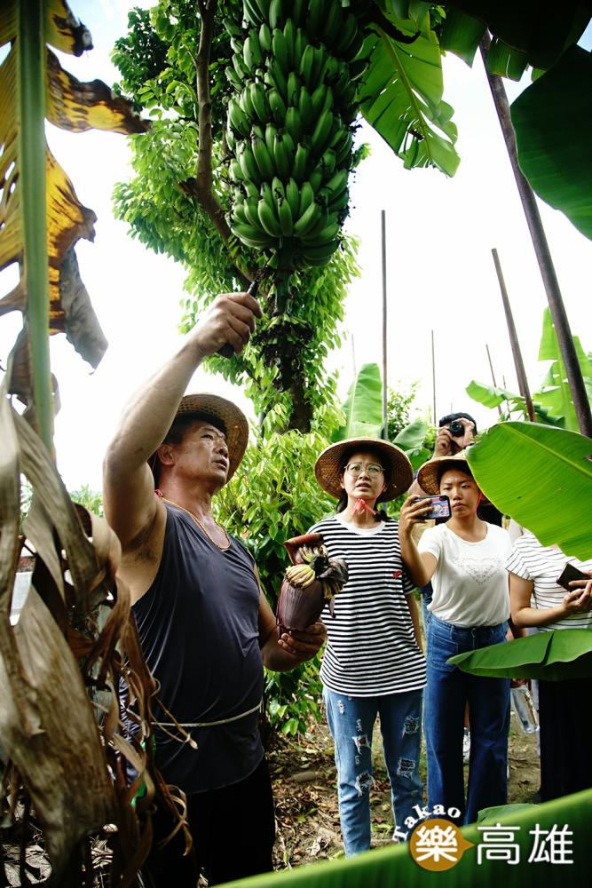 經過郭大哥的產地解說，平日常見的水果，忽然多了一分得來不易的滋味。（攝影/曾信耀）