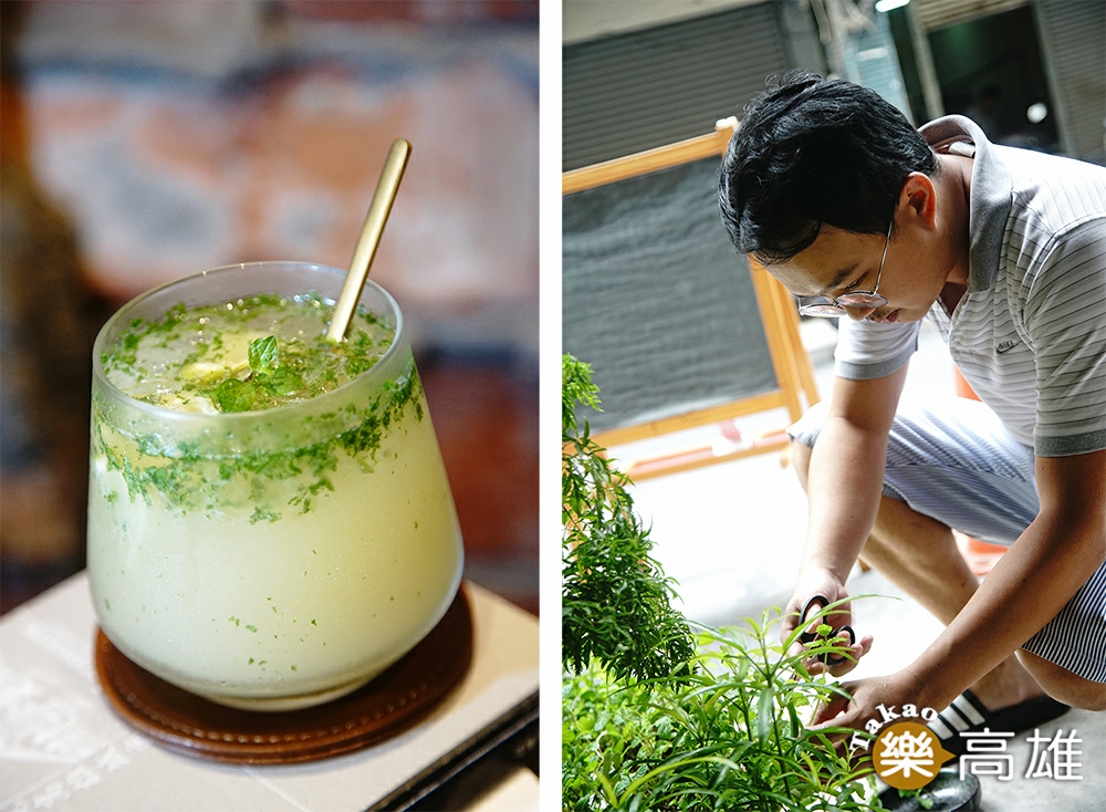 從門口魚菜共生的系統摘取新鮮薄荷，調一杯蘭姆酒香濃郁的Mojito。（攝影/曾信耀）