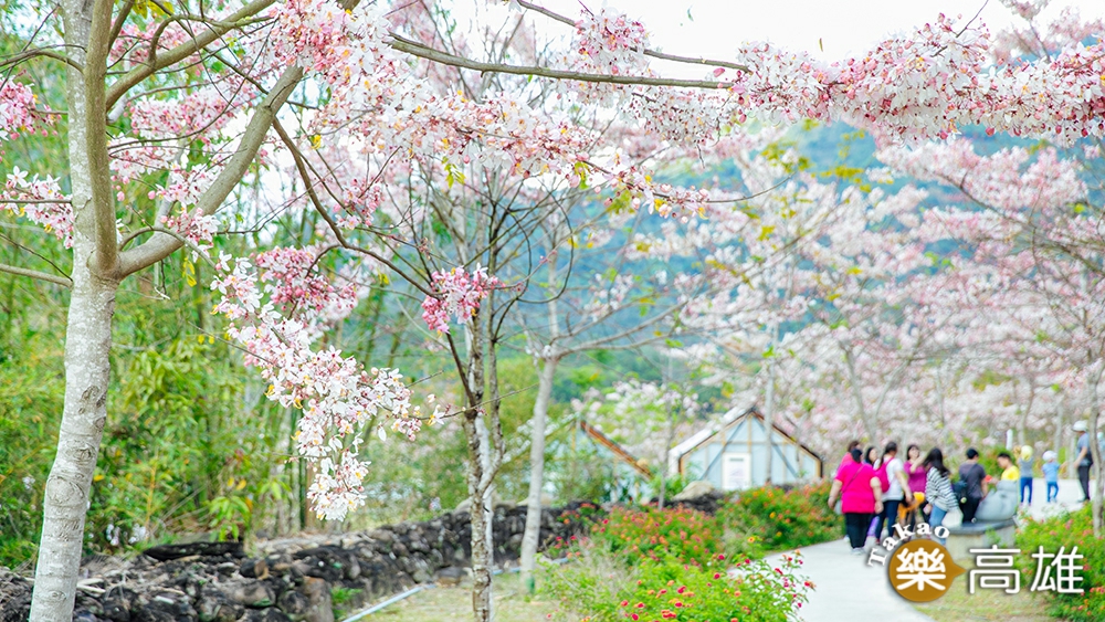春暖花開正是賞花好時節。（攝影/蔡嘉瑋）