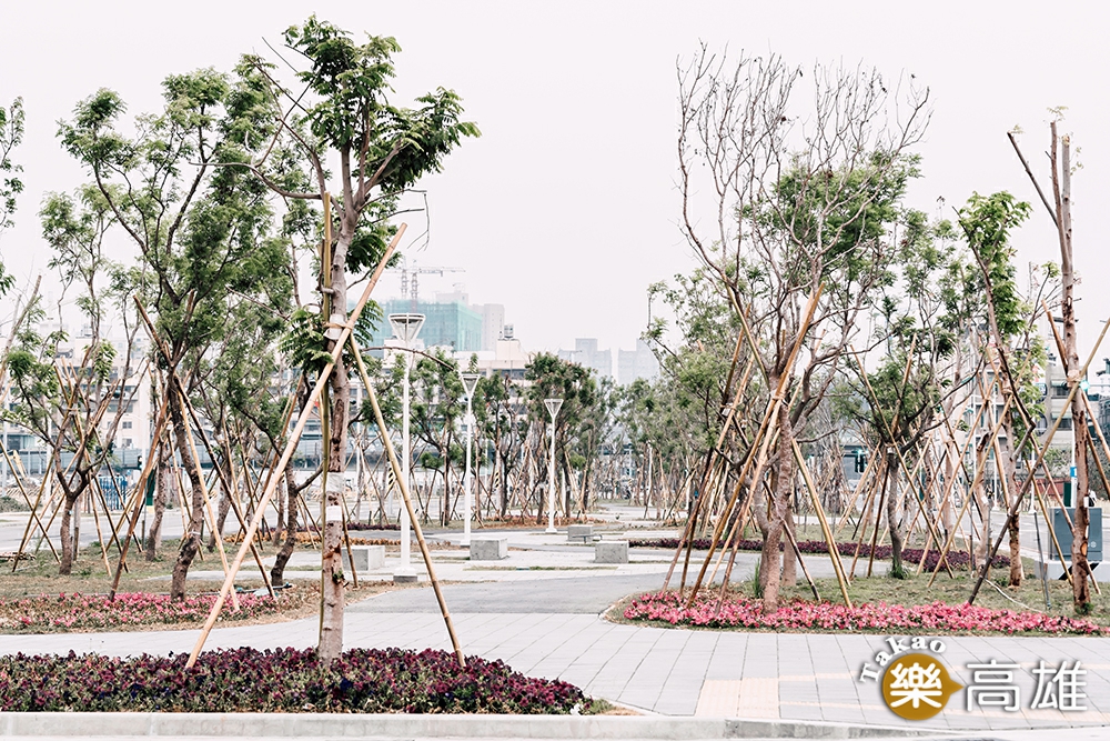 15.37公里的舊鐵路變身成為植滿花木的都市綠帶。（攝影/陳建豪）