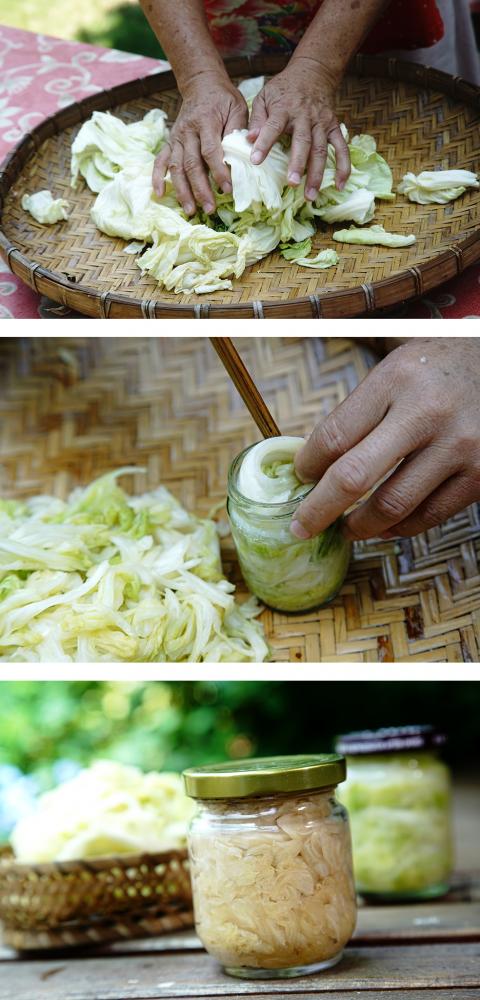 高麗菜乾搓揉後直接裝瓶。