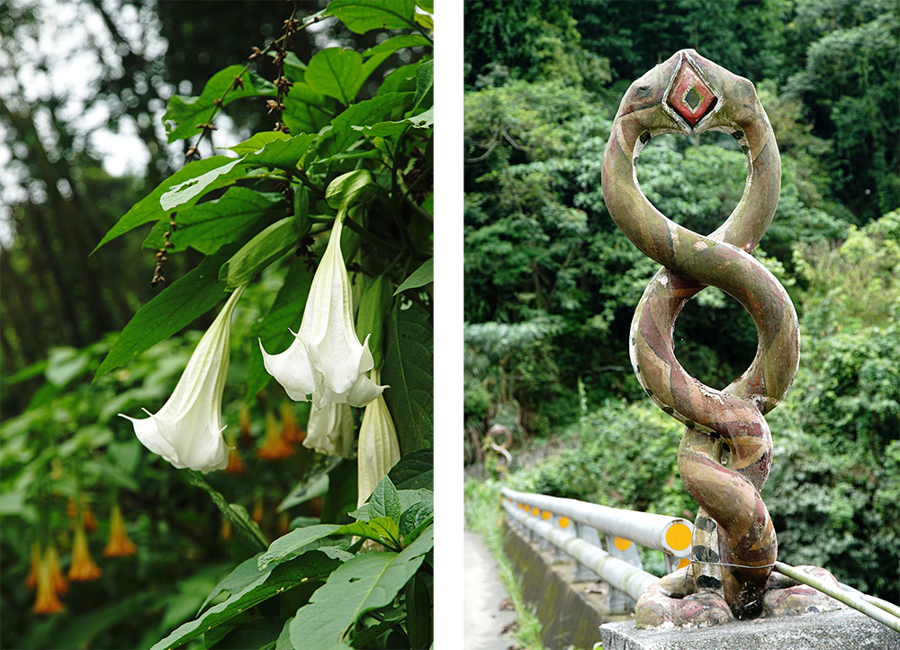 （左）曼陀羅白色、橘色、粉紅色花開美麗。（右）百步蛇是布農族人的好朋友，兩蛇交纏成8字，代表八八風災紀念橋之意。
