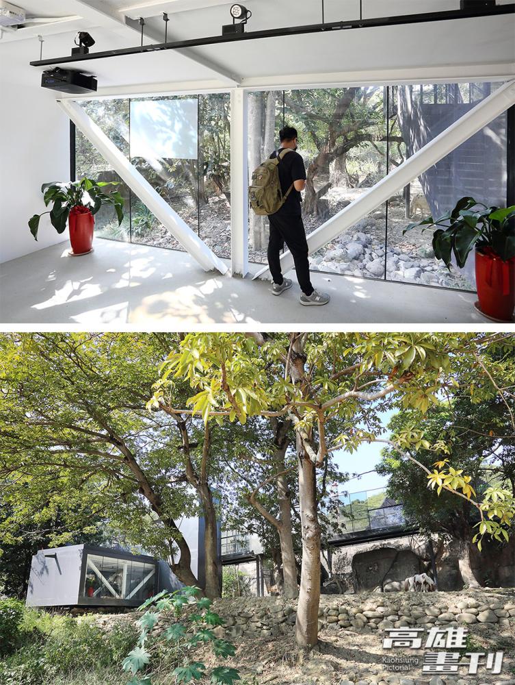 改建後特別設置觀察廊，讓遊客可進入觀察廊內，與動物們零距離。(攝影/Carter)