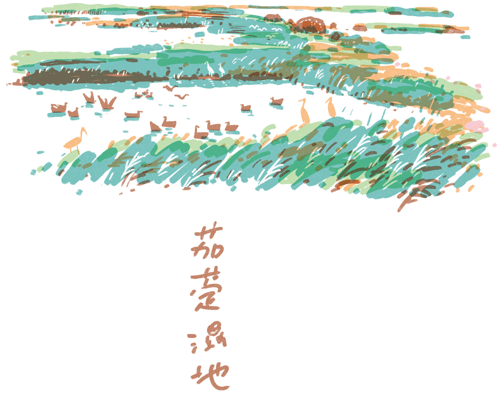 插畫/林家棟