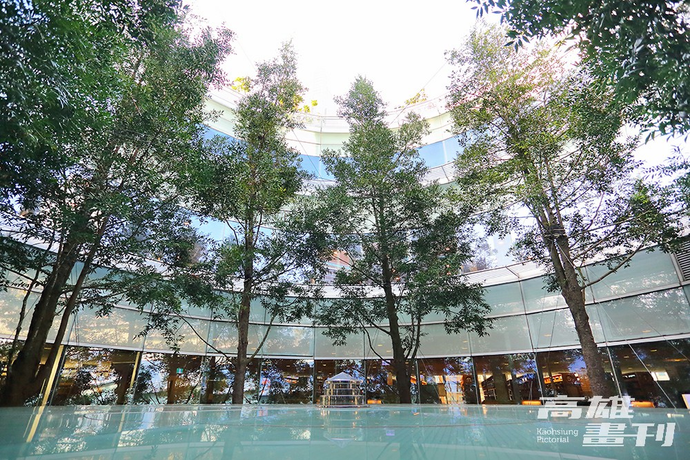 以懸吊式綠建築打造的高雄市立圖書館，「館中有樹、樹中有館」是許多市民的私房景點。(攝影/Carter)