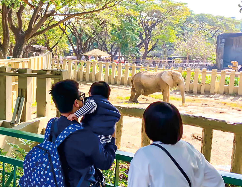 Photo courtesy of Shoushan Zoo