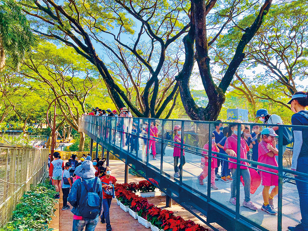 Photo courtesy of Shoushan Zoo (Photo by Lin Yun-shuang)