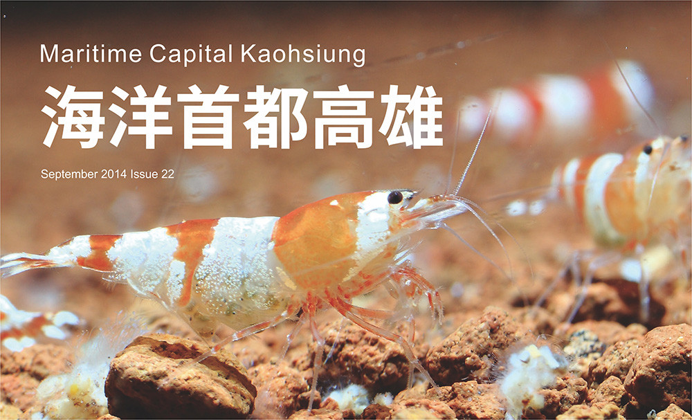 期刊：Maritime Capital Kaohsiung 
                No.22