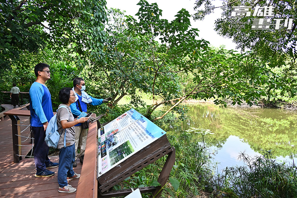 鳥松濕地公園比鄰交通便利的澄清湖風景區，是民眾休憩及觀賞濕地生態最佳場所，在濕地教育推廣中扮演重要角色。(攝影/Carter)