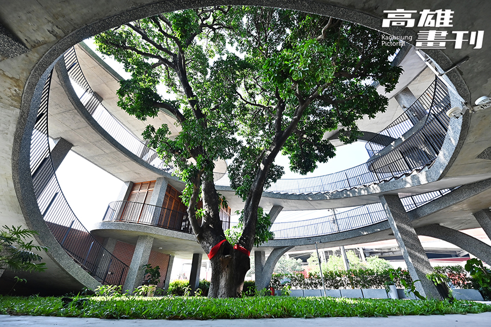 建築以守護百年芒果樹為首要，打造人與自然共存的環境。(攝影/Carter)