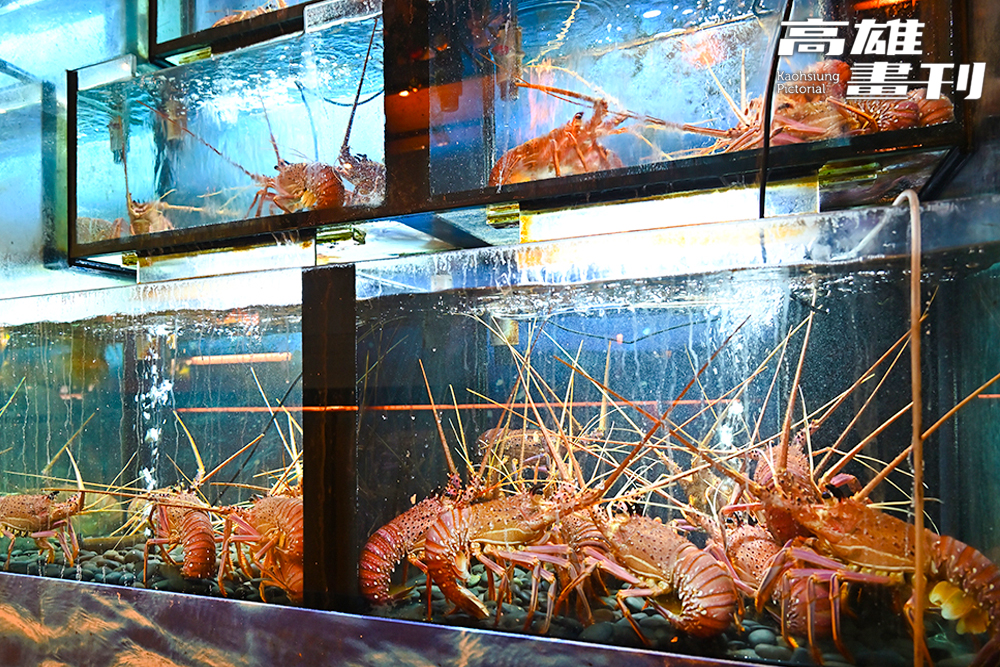 日本空運的活海鮮是覓奇頂級日本料理一大賣點，肉質Ｑ彈鮮美，非一般冷凍海鮮可比擬。(攝影/Carter)