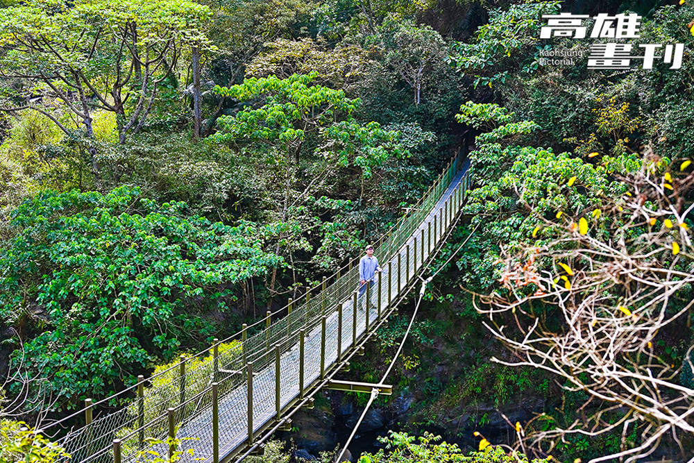 採取新式工法設計的吊橋與茂林多數吊橋造型不同，是羅木斯溪登山步道一大特色。(攝影/Carter)