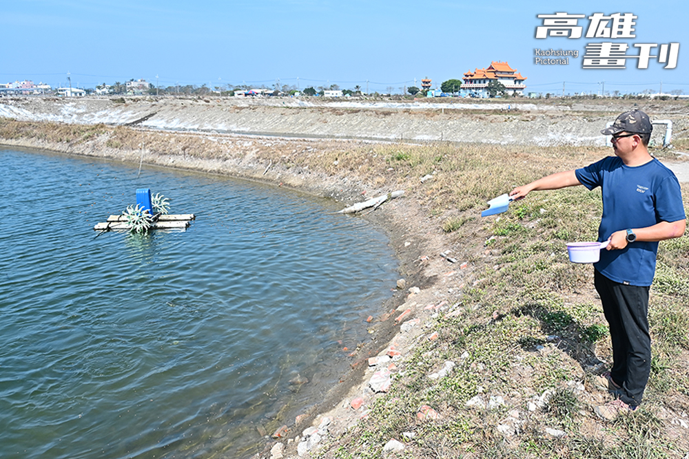 張博仁運用大自然的循環海水，以極低密度的混養多種養殖物種，仿造最自然的生態鏈。(攝影/Carter)