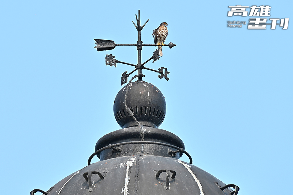 高雄燈塔風向儀鑄有「東、西、南、北」四個漢字，為日治時期的原始設計，全臺灣僅有一例。(攝影/Carter)