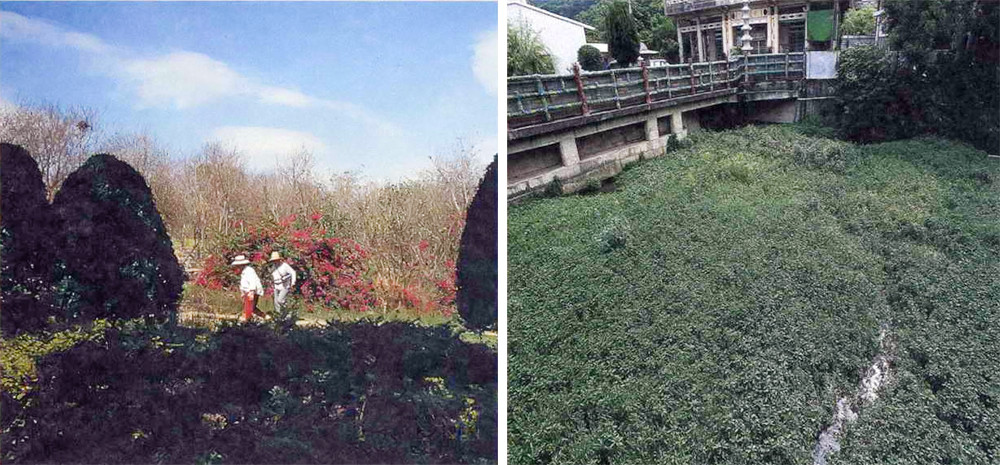 壽山公園(左：攝影/鮑忠暉)與龍泉寺冷泉(右)