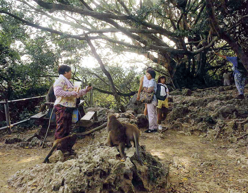 進出柴山，你是否真的認識它？(照片提供/串門文化)
