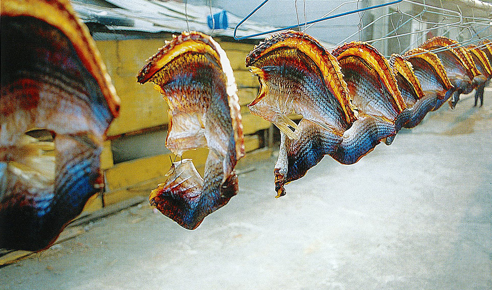 捕烏時節魚香滿街巷。(攝影／梁國雄)