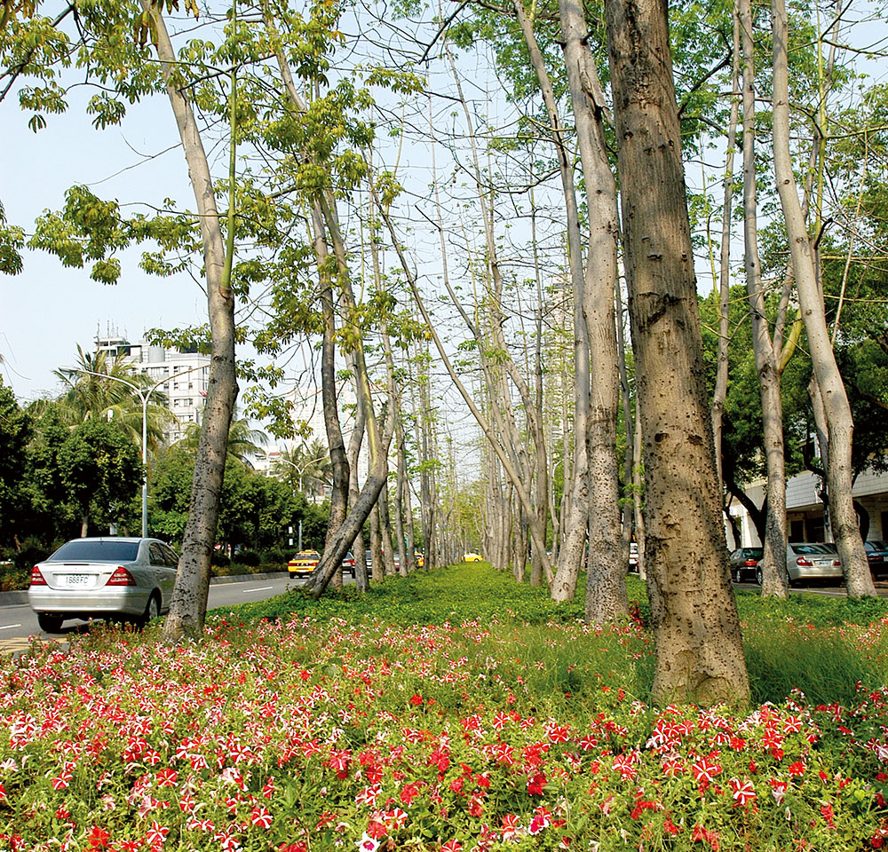 四維路的「城市森林」美景
