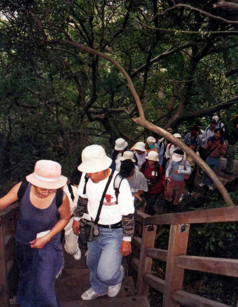 走進柴山，發掘城市裡的自然秘密。(文化愛河協會提供)