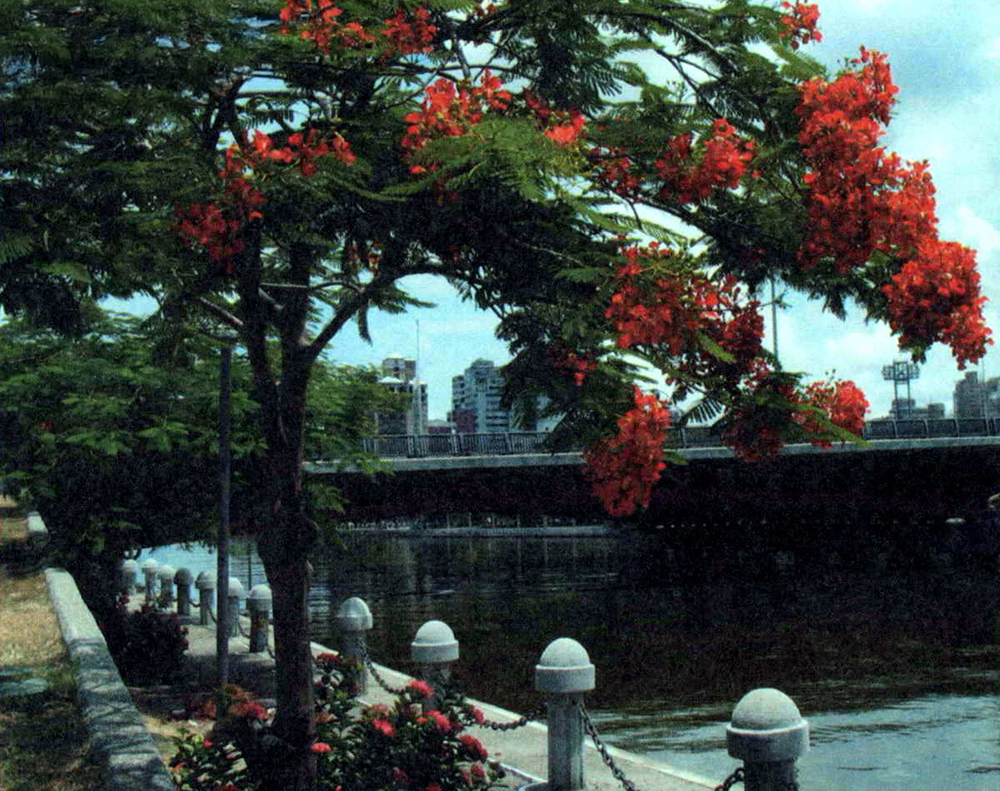 河水蕩漾 四季花樣