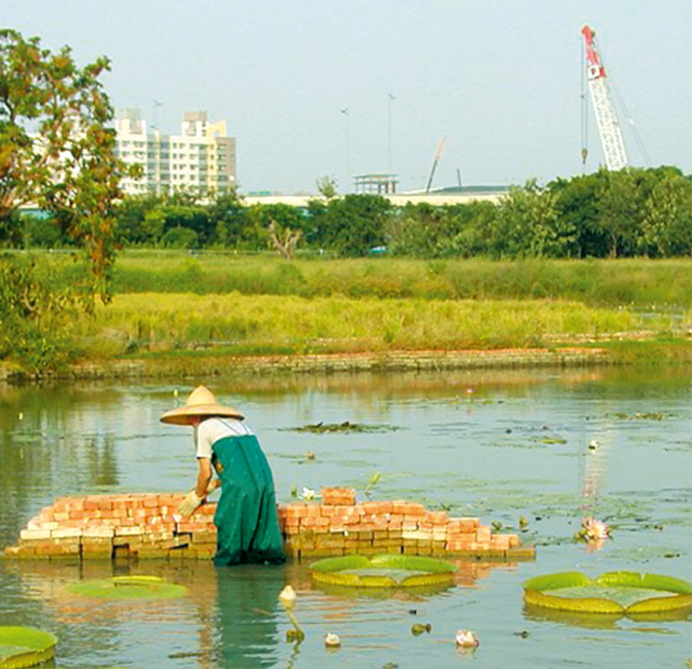 洲仔濕地