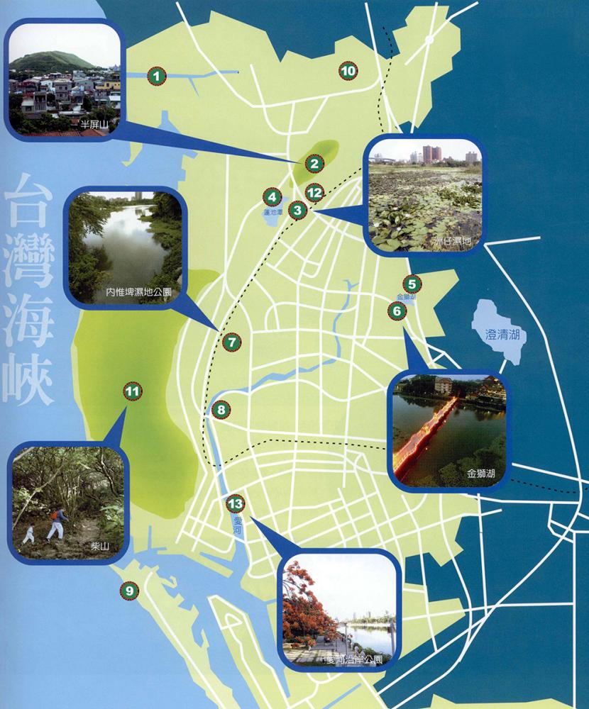 高雄綠色心臟 高雄綠色心臟
