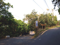 跟著「大自然」的路標走,遺世美景就要出現。(攝影 / 葉振耀) 跟著「大自然」的路標走,遺世美景就要出現。(攝影 / 葉振耀)