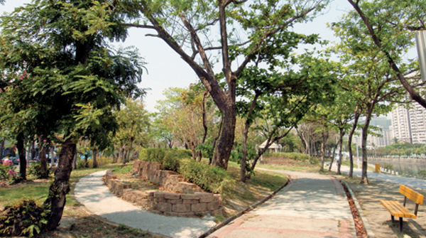 三民親子公園茂密的綠色隧道,還有可騎鐵馬悠遊的自行車道。(攝影 / 張忠義) 三民親子公園茂密的綠色隧道,還有可騎鐵馬悠遊的自行車道。(攝影 / 張忠義)