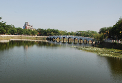道德院前臨碧波粼粼的金獅湖，湖畔景觀優美。(圖/侯志勇攝)