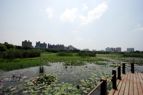 高雄市處處可見綠意與水意，早已成為「綠色之都」。(圖/黃永富攝)