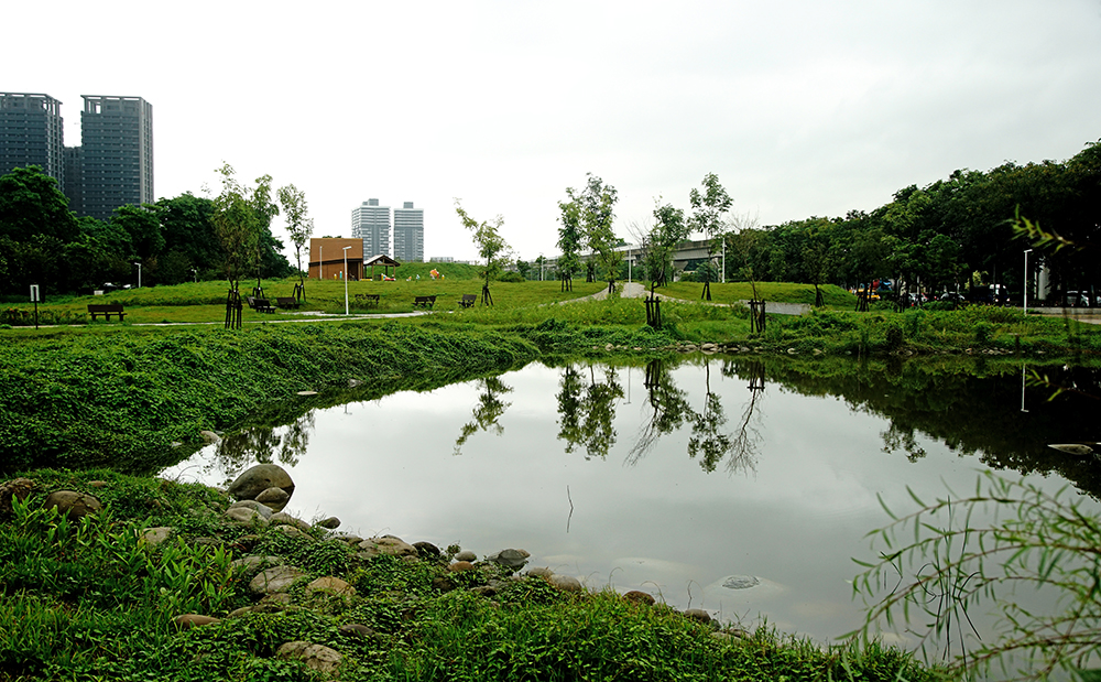 青埔溝排水設置現地水質淨化場，營造自然蜿蜒生態水池與溪流。