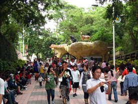 壽山動物園2009年11月整修後重新開幕，魅力依舊不減。（圖／凌卓民攝）