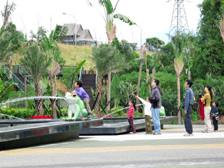 熱帶植物園迎賓水舞廣場，有青蛙造型噴泉。（圖／凌卓民攝）