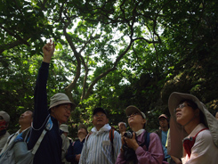 多元生態讓柴山成為最佳自然教室，圖為高雄市柴山會第一期生態解說員課程。（圖／高雄市柴山會提供、鄭耀翔攝）