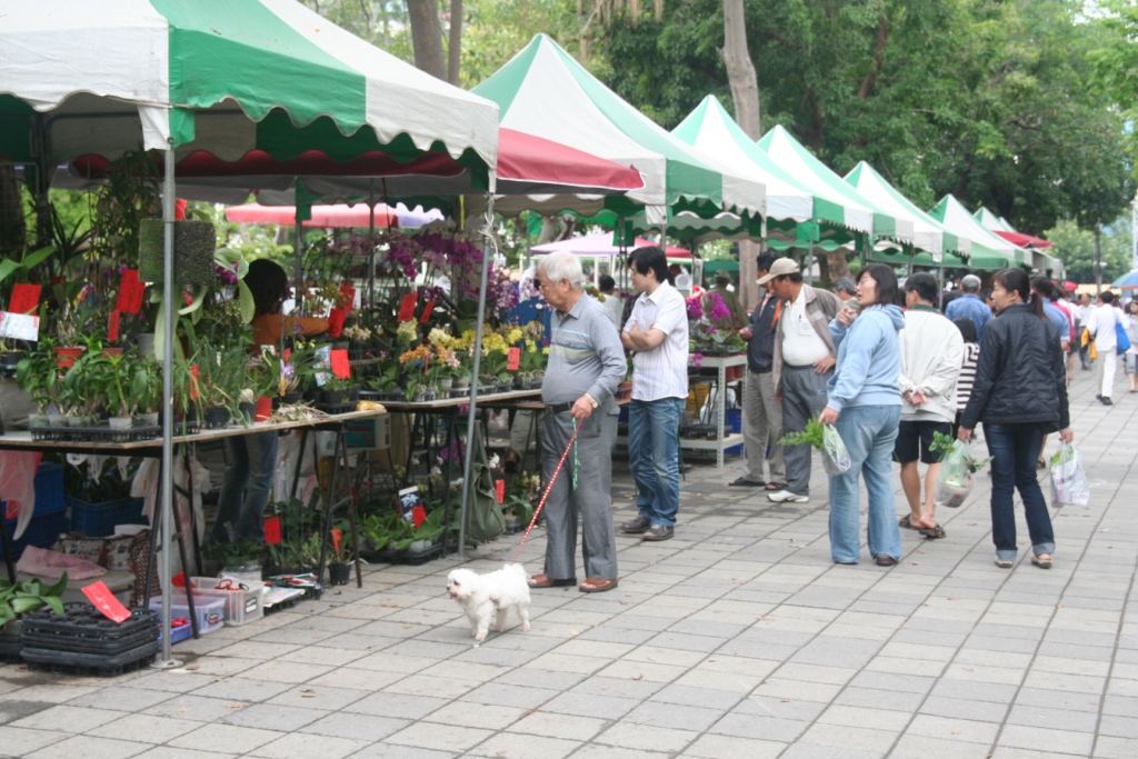 「捻花惹草」樂陶陶