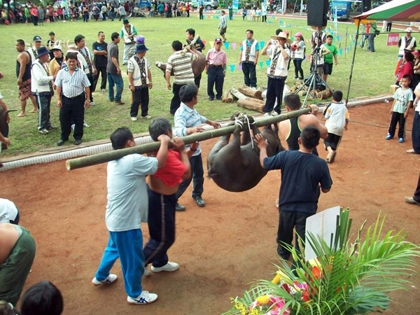 布農族「射耳祭」活動將部落文化代代傳承。(圖/城市紀憶公關顧問公司提供)