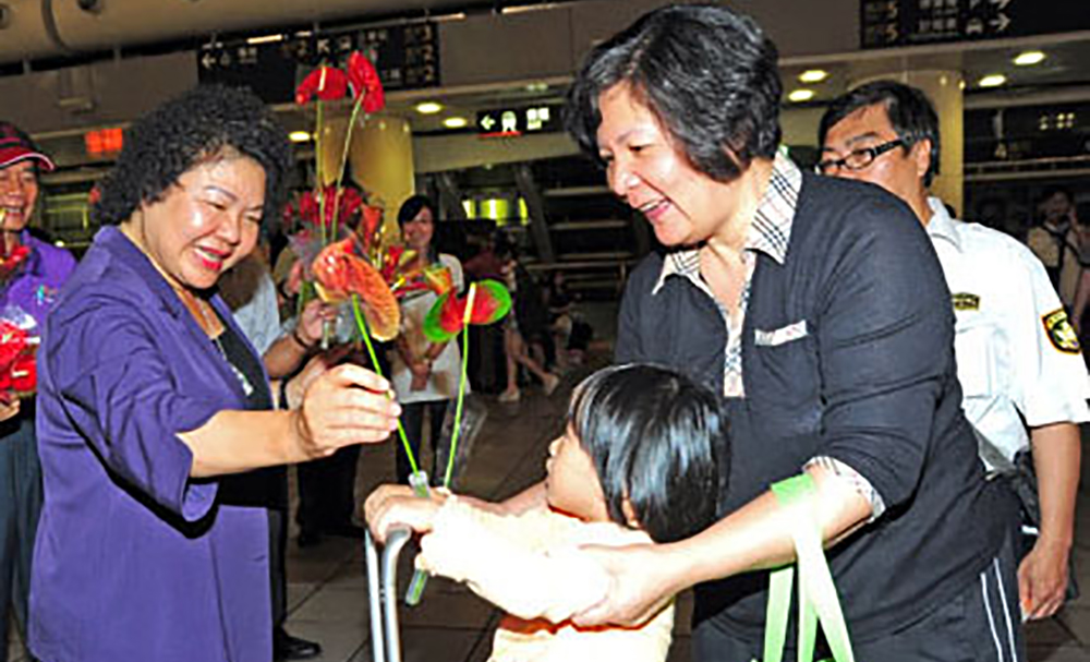 內門火鶴花 點亮生活美學