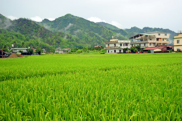 純樸寧靜，充滿傳統人文氣息的美濃農村。(圖/鮑忠暉攝)