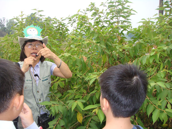 透過周芳華解說導覽，民眾發現生活中珍貴的生態環境。(圖/周芳華 提供)