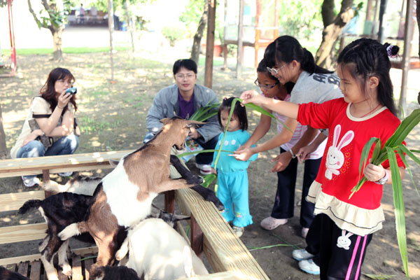 橋頭水流莊中的動物區深受小朋友喜愛。（圖/洪崑哲）